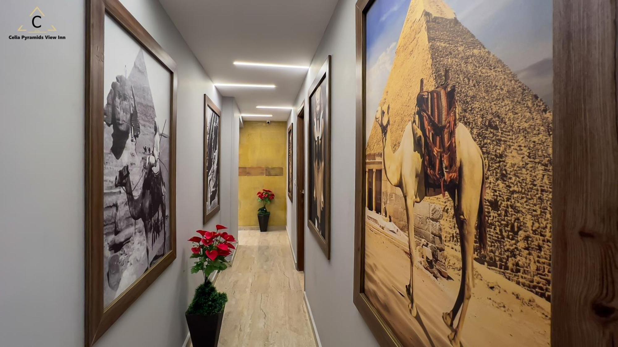 Celia Pyramids View Inn Nazlet el-Sisi Екстер'єр фото
